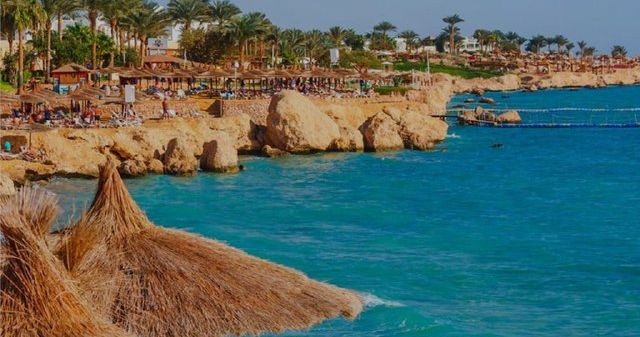 Sharm-al-Shayx: qaysi qo‘ltiqni tanlash kerak