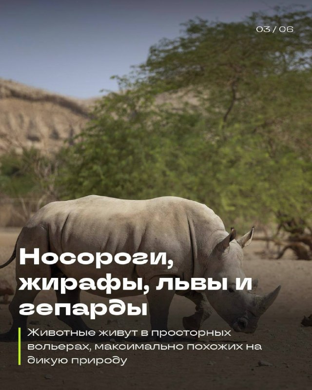 Абу-Даби