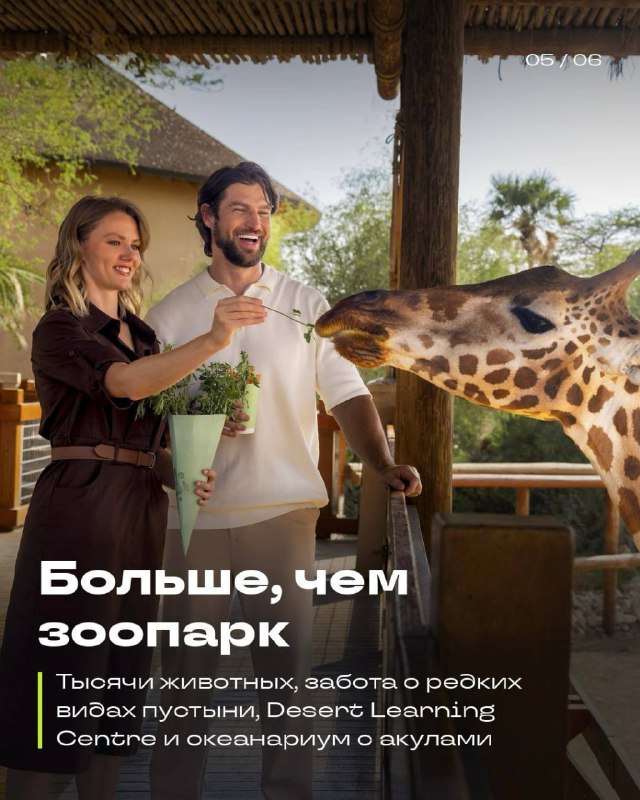 Абу-Даби